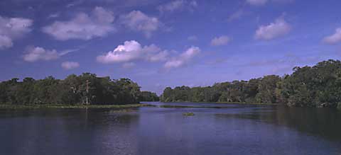 Upper St. Johns River, Volusia County
