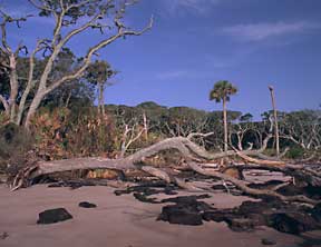 Big Talbot Island, Duval County